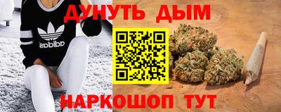 индика Новокубанск