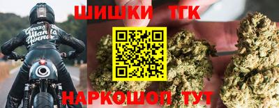 индика Новокубанск
