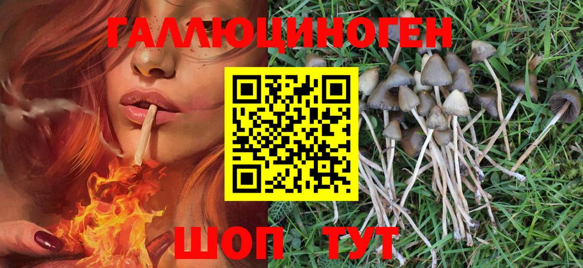 Меф   МАРИХУАНА  Alpha-PVP СОЛЬ кристаллы  Мефедрон  ЭКСТАЗИ  Салехард  Гашиш  Вход с VPN 