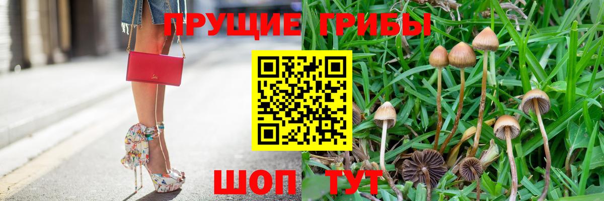 Галлюциногенные грибы мухоморы Салехард